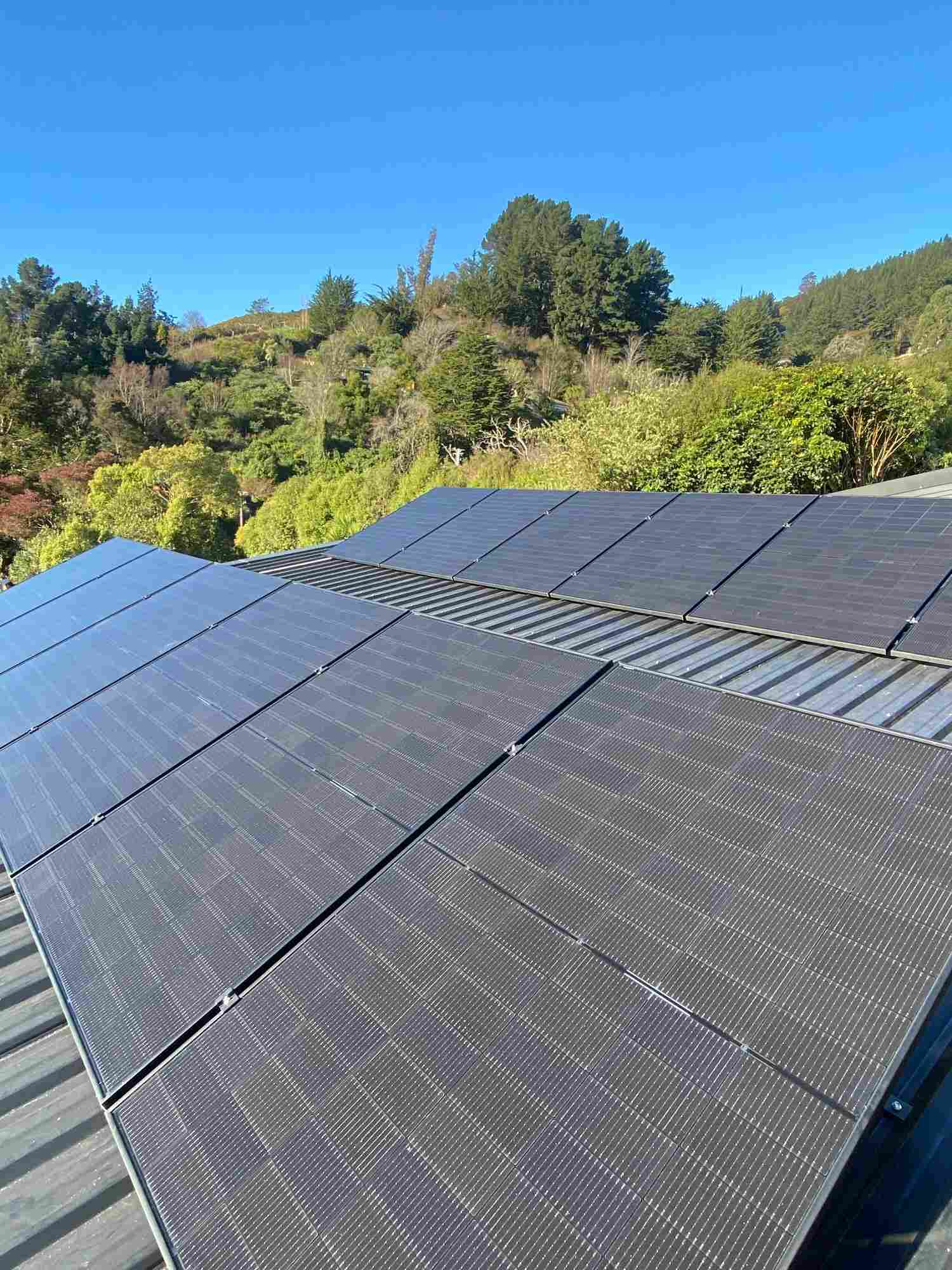 Solar array on a metal roof with bush behind